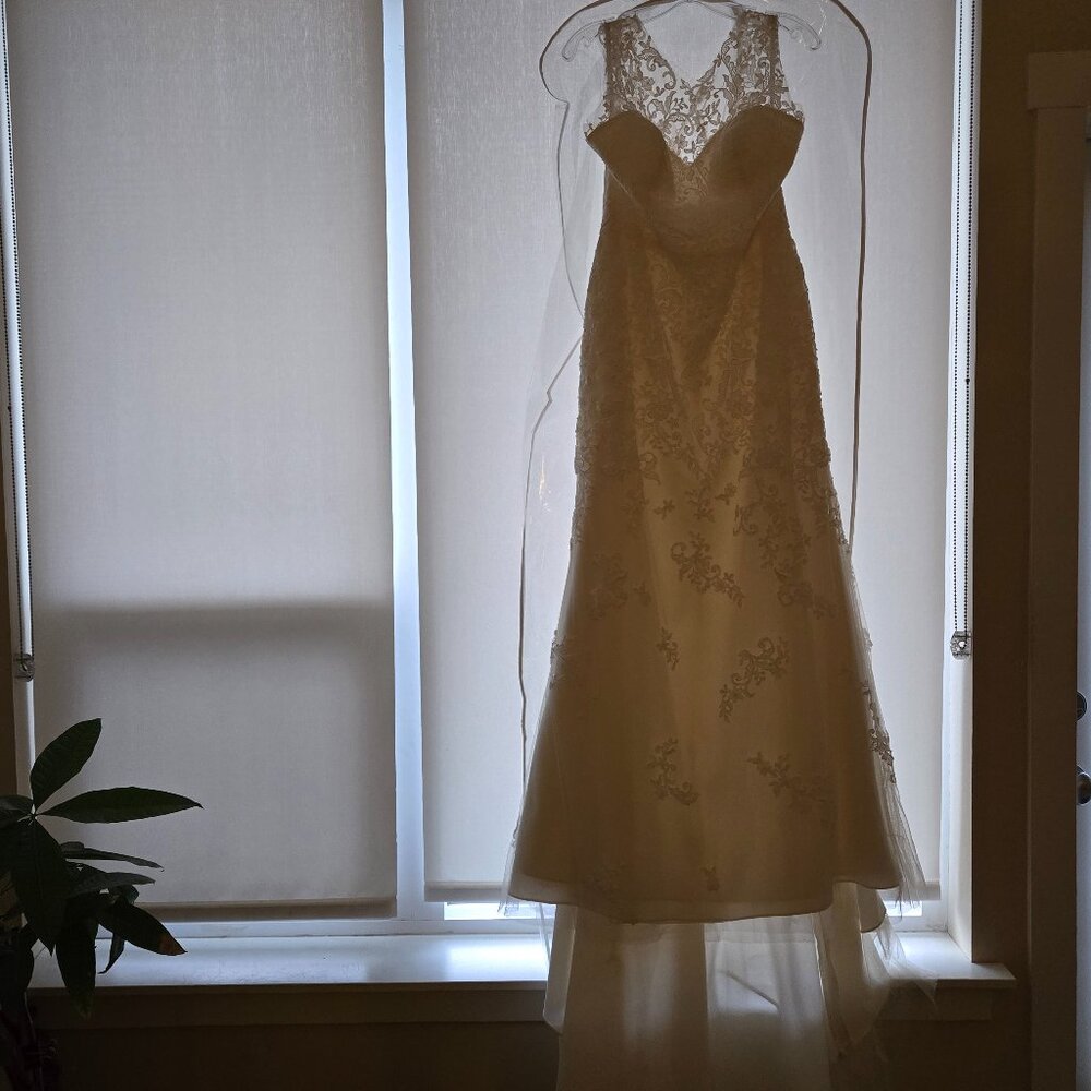 Wedding Dress OBO